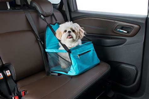 transporte para cachorro em carro